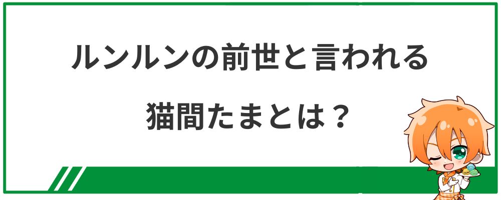 ルンルンの前世と言われる猫間たまとは？